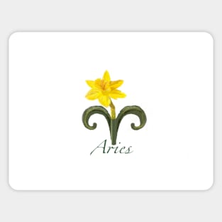 Aries’ Daffodil with Title Sticker